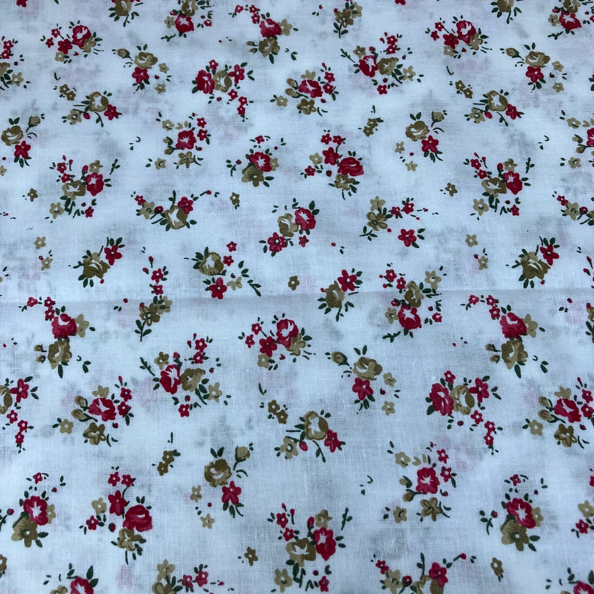 Květy na bílém podkladu